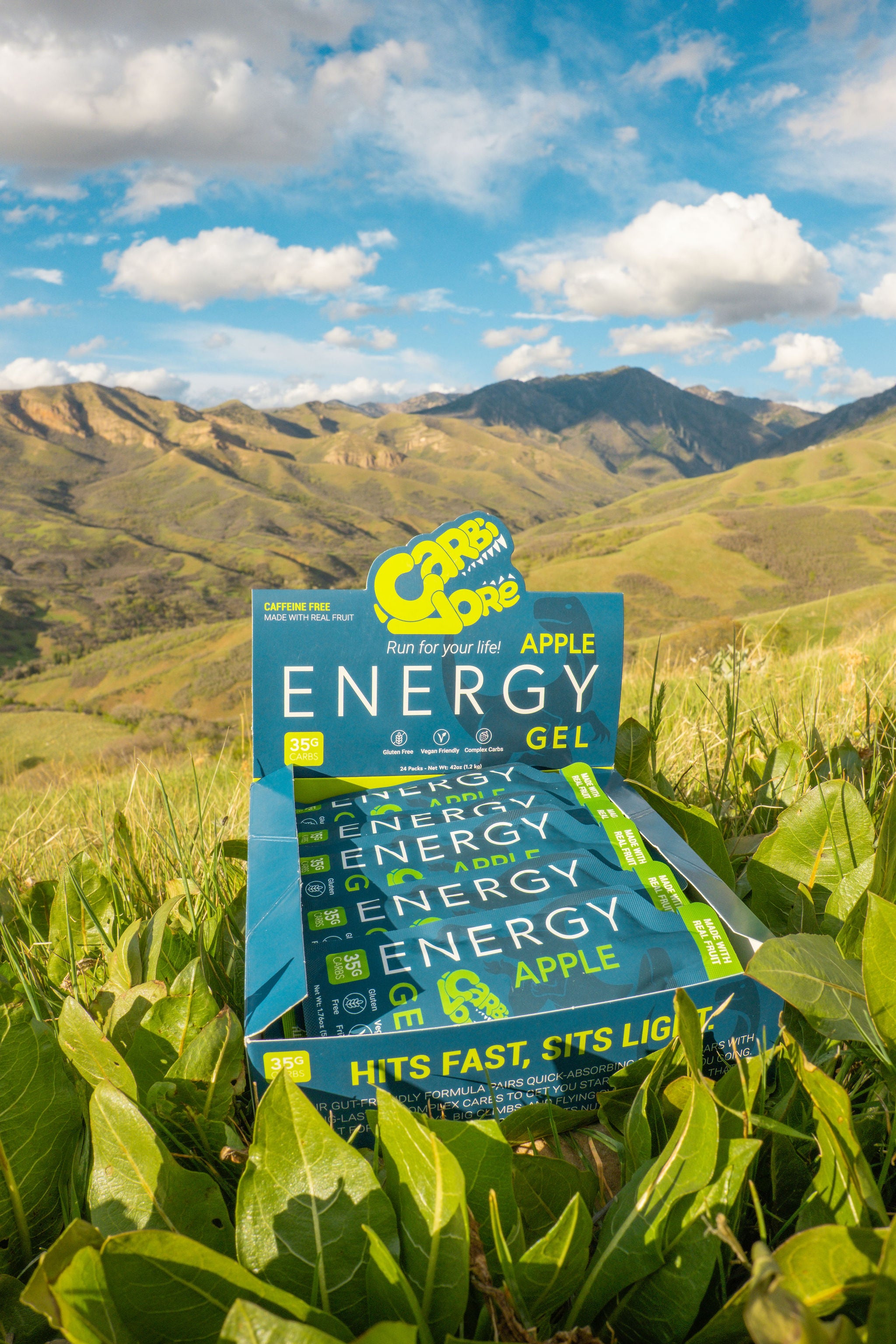 Carbivore Energy Gel - Carton of 24 Apple