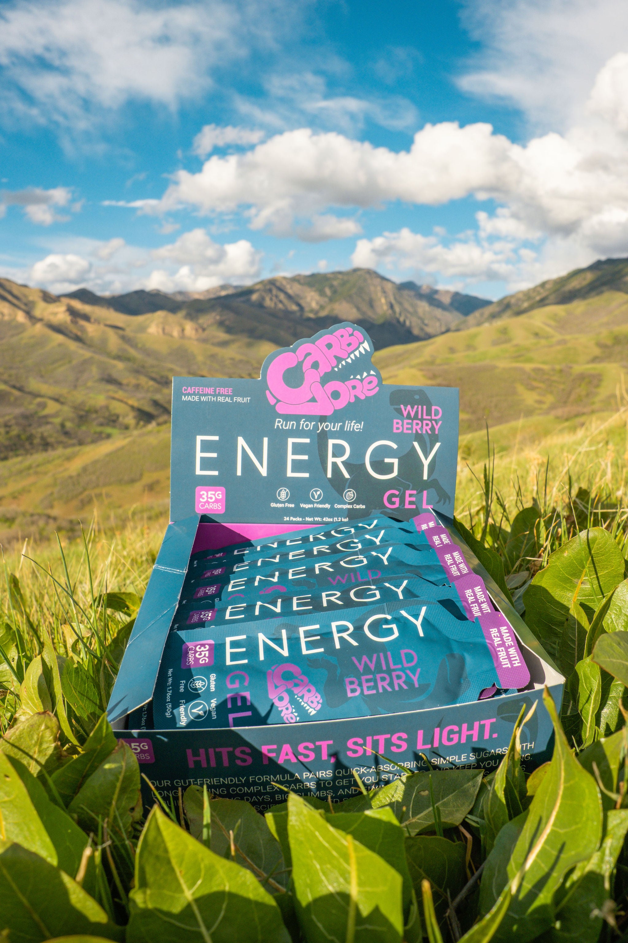 Carbivore Energy Gel - Carton of 24 Wild Berry